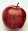 Malus domestica 'Starking' - jabloň