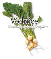 Brassica rapa var. rapifera - vodnice (1)