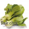 Brassica rapa var. chinensis - pak choi (KNIŽNÍKLUB)