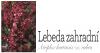 Atriplex hortensis var. rubra - lebeda zahradní (KNIŽNÍKLUB)