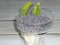 Klejicha hedvábná - papoušci jako ozdoba (Asclepias syriaca)