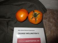 Lilek rajče 'Orange Wellington F1' (Solanum lycopersicum)
