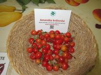 Višeň obecná 'Amarelka královská' (Prunus cerasus) Višeň obecná 'Amarelka královská' (Prunus cerasus)